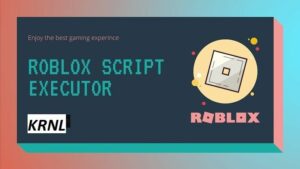 roblox script executor